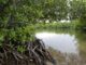 Floridians balk at DeSantis administration plan to build golf courses at state parks